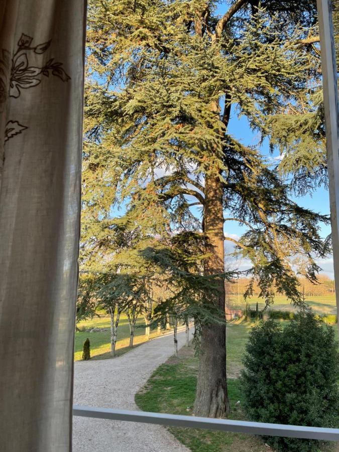 Chateau Du Go Альбі Екстер'єр фото